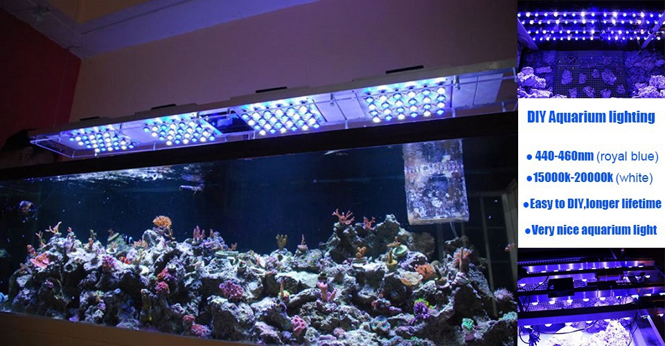 Shen Zhen Future Led Light - Diy Led Light For Reef Tank